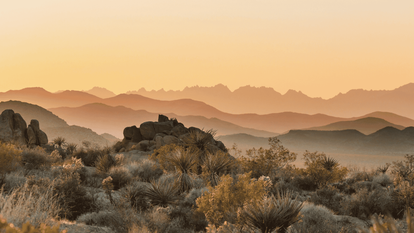 Reasons Your Air Conditioner Fails 