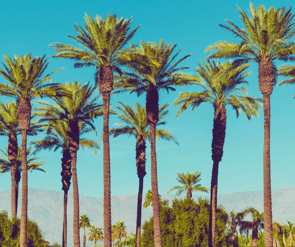 Why La Canada Flintridge AC Systems Struggle in Summer Green Planet Heating and Air Why La Canada Flintridge AC Systems Struggle in Summer