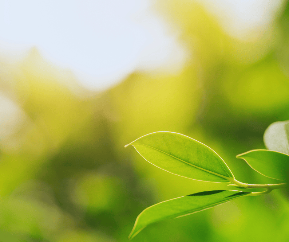 How to Prepare Your HVAC System for a Utah Summer Heatwave