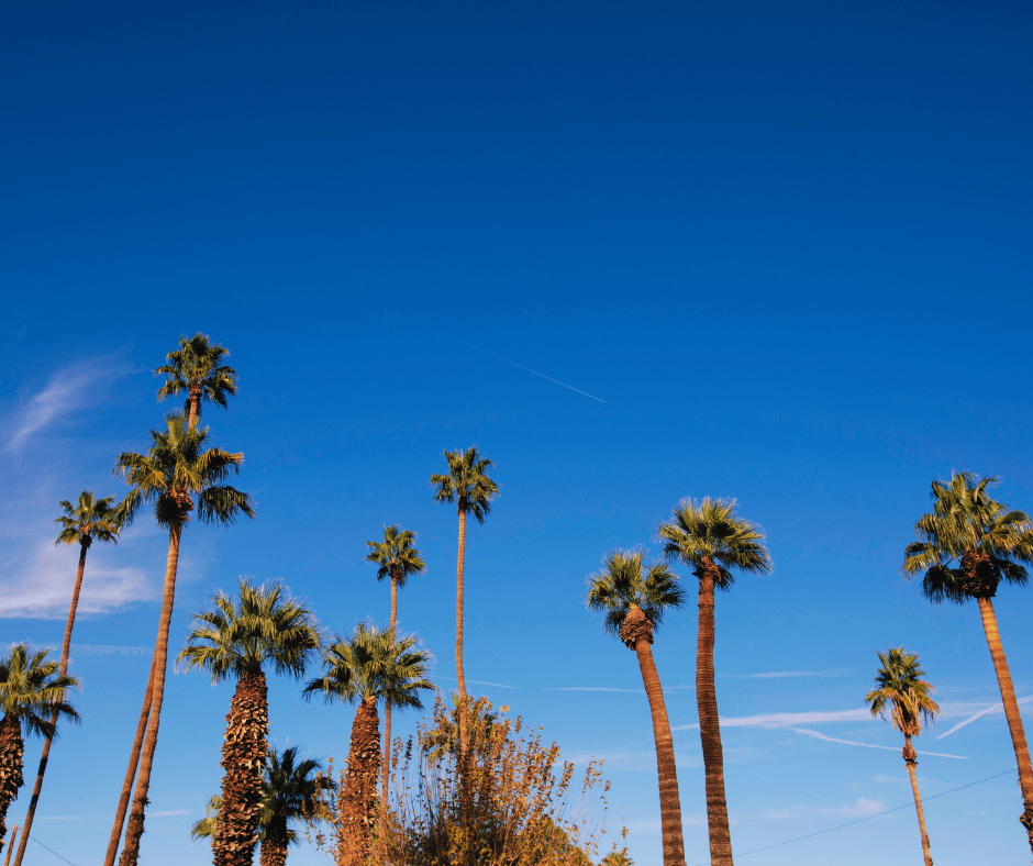 When an HVAC Emergency Hits in the Valley: What Counts and What to Do Green Planet Heating and Air When an HVAC Emergency Hits in the Valley: What Counts and What to Do