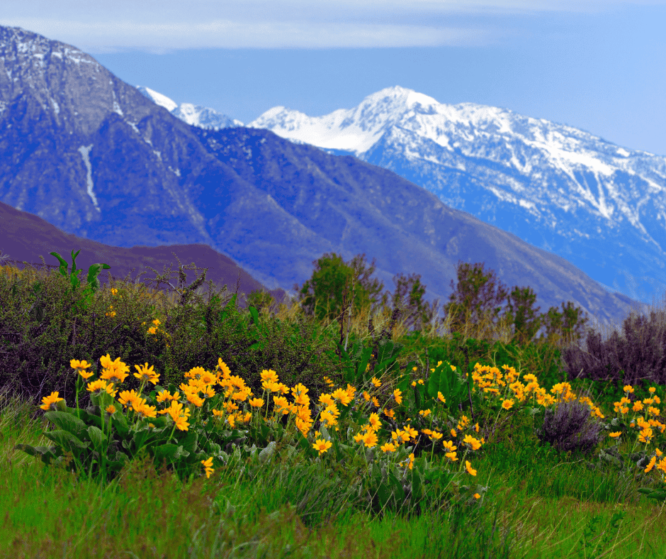 Why South Salt Lake AC Maintenance Costs More in July Than Any Other Month Just Right Plumbing, Heating, & Cooling Why South Salt Lake AC Maintenance Costs More in July Than Any Other Month